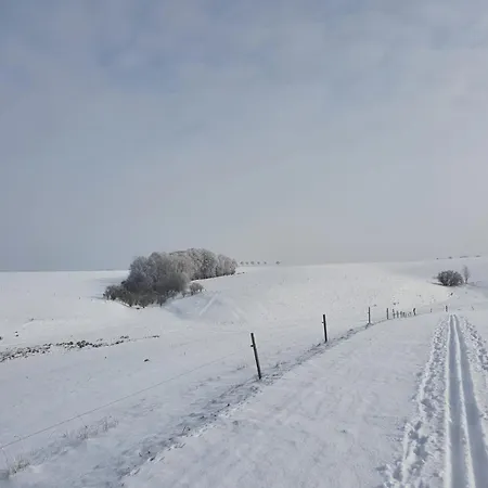 Rochlitzer Berg Blick